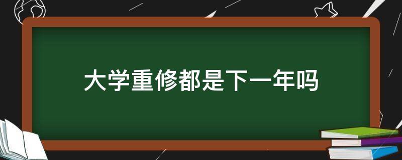 大学重修都是下一年吗（大学重修需要再上一年吗）