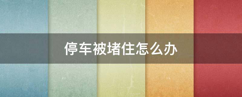 停车被堵住怎么办 停车被别的车堵住了怎么解决