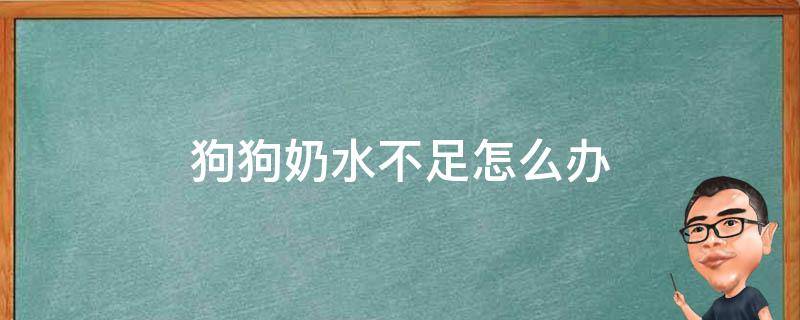 狗狗奶水不足怎么办 狗狗奶水不多怎么办