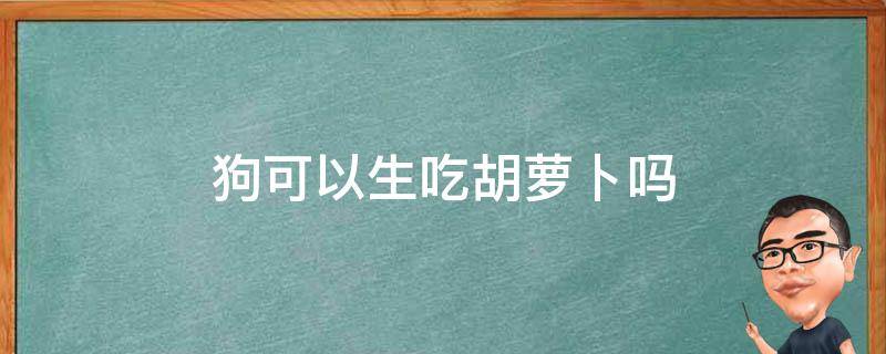 狗可以生吃胡萝卜吗（狗狗能生吃胡萝卜吗?）