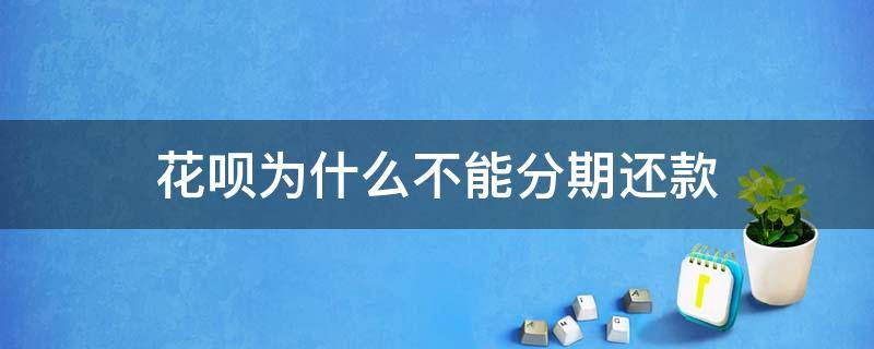 花呗为什么不能分期还款 花呗为什么只能分期还款