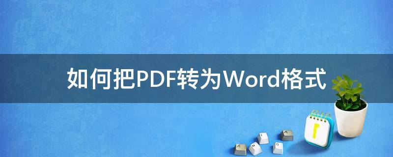 如何把PDF转为Word格式（怎么把pdf转为word格式）