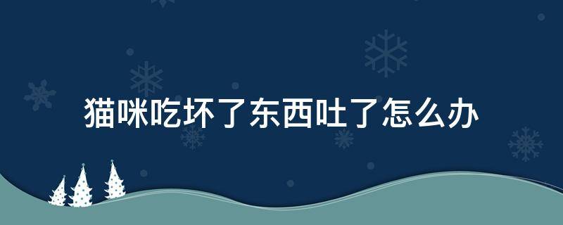 猫咪吃坏了东西吐了怎么办 猫咪吃了不好的东西吐了怎么办