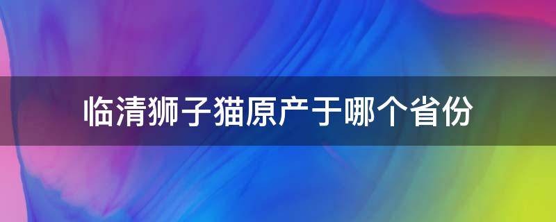 临清狮子猫原产于哪个省份（临清狮子猫是什么品种）