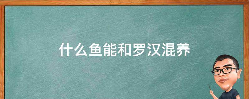 什么鱼能和罗汉混养（什么鱼适合和罗汉混养）