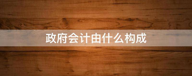 政府会计由什么构成（政府会计由什么构成,实行什么样的核算模式）