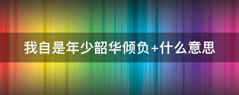 我自是年少韶华倾负 我自是年少韶华倾负出自哪里