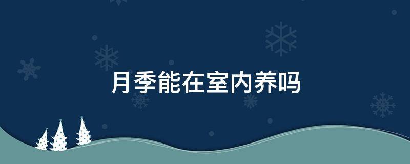 月季能在室内养吗（月季室内可以养吗）