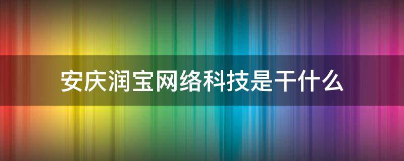 安庆润宝网络科技是干什么（安庆润宝网络科技有限公司）