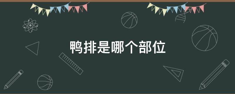 鸭排是哪个部位 鸭排是什么