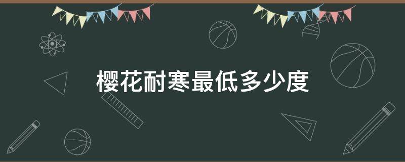 樱花耐寒最低多少度 樱花耐寒最低温度多少?