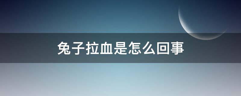 兔子拉血是怎么回事 兔子拉血是怎么回事要吃什么药