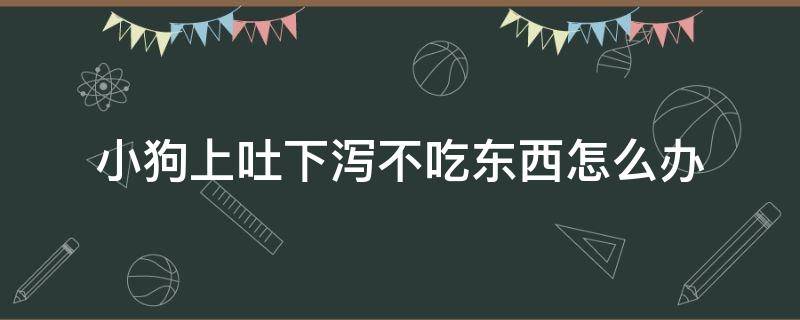 小狗上吐下泻不吃东西怎么办（小狗上吐下泻不吃食）