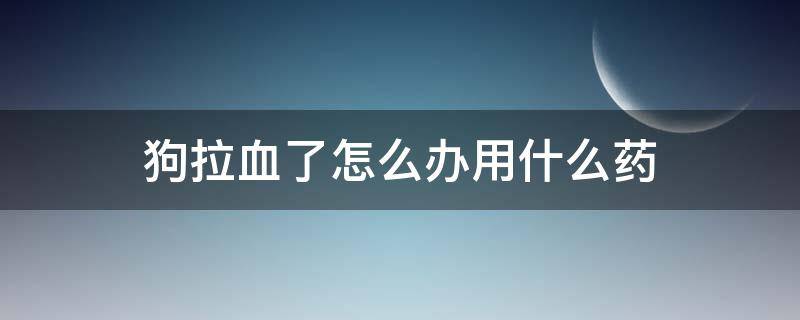 狗拉血了怎么办用什么药（狗拉血了怎么办用什么药治好）