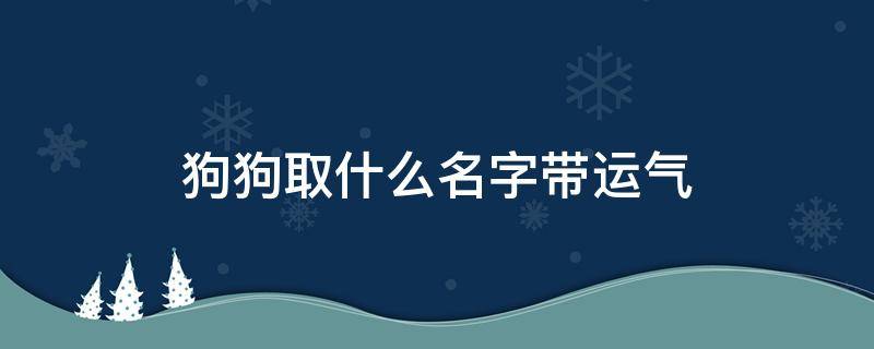 狗狗取什么名字带运气（运气好的狗狗名字）