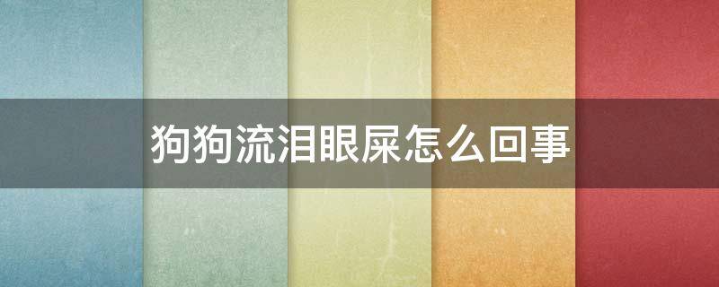 狗狗流泪眼屎怎么回事 狗狗流眼泪有眼屎怎么回事