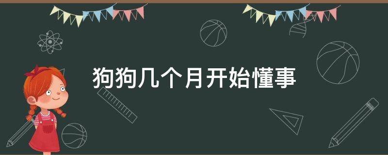 狗狗几个月开始懂事（狗狗几个月开始懂事叫他会过来）