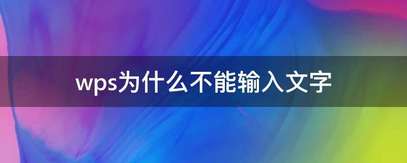 wps为什么不能输入文字（wps为什么不能输入文字和数字）