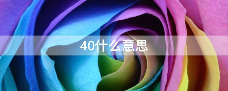 40什么意思 404什么意思网络用语