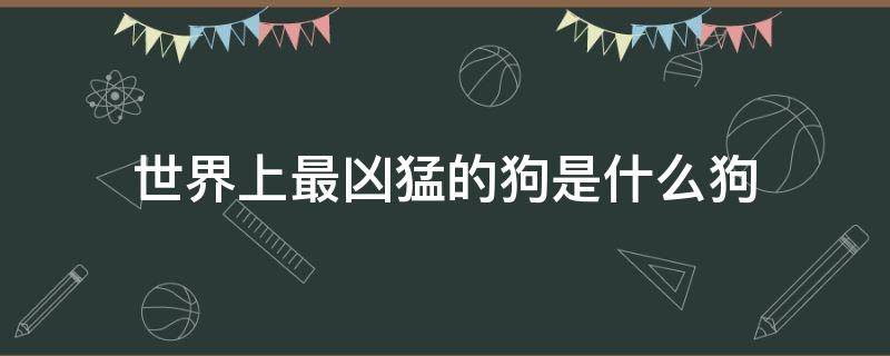 世界上最凶猛的狗是什么狗 世界上最凶猛的狗是什么狗?