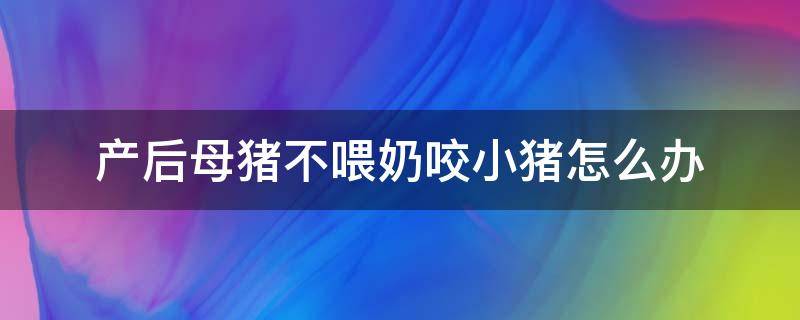 产后母猪不喂奶咬小猪怎么办 产后母猪不喂奶咬小猪怎么办,用什么套住母猪嘴