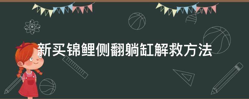 新买锦鲤侧翻躺缸解救方法 锦鲤侧翻躺底怎么救