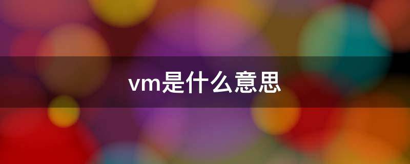 vm是什么意思（聊天中vm是什么意思）