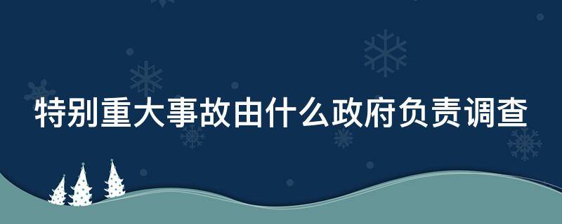 特别重大事故由什么政府负责调查（特别重大事故由谁进行调查?）