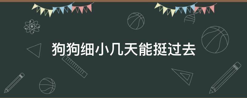 狗狗细小几天能挺过去（狗狗得细小5天能挺过去吗）