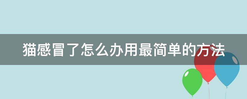 猫感冒了怎么办用最简单的方法 小猫感冒了吃什么药好得快