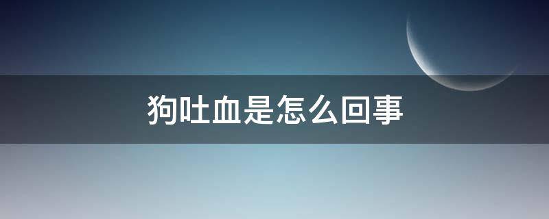 狗吐血是怎么回事 宠物狗吐血是怎么回事