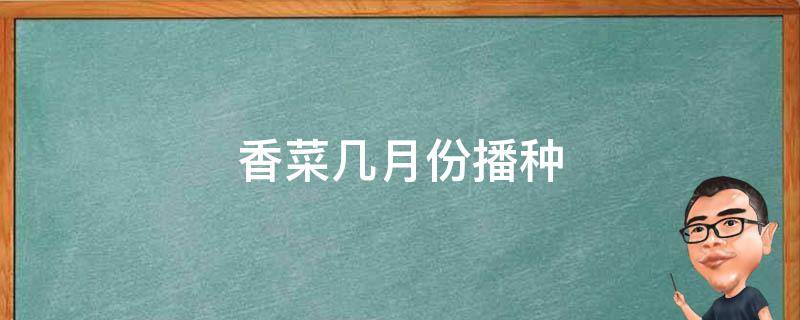 香菜几月份播种 香菜几月份播种最佳时间