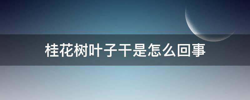 桂花树叶子干是怎么回事 桂花树的叶子发干是怎么回事