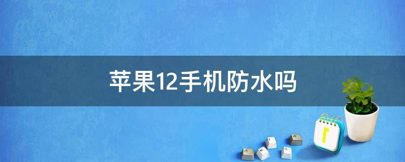 苹果12手机防水吗 苹果12手机防水吗?掉水里了怎么办