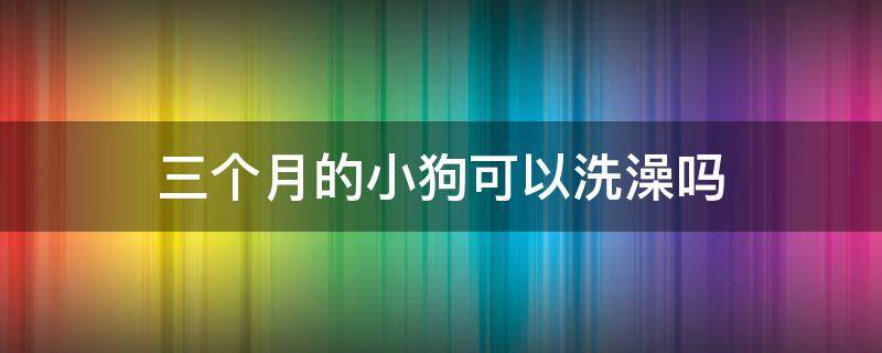 三个月的小狗可以洗澡吗 三个半月的小狗可以洗澡吗