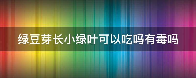 绿豆芽长小绿叶可以吃吗有毒吗（绿豆芽长小绿叶了还能吃吗）