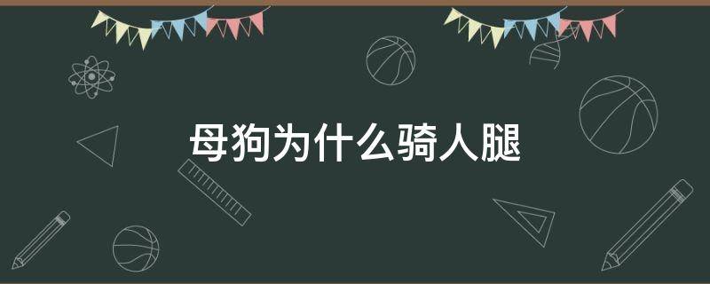 母狗为什么骑人腿（小狗为什么喜欢骑人腿）