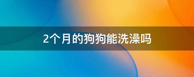 2个月的狗狗能洗澡吗（2个月的狗狗能不能洗澡）