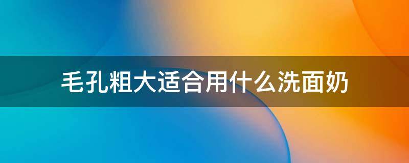 毛孔粗大适合用什么洗面奶（毛孔粗大应该用什么洗面奶）