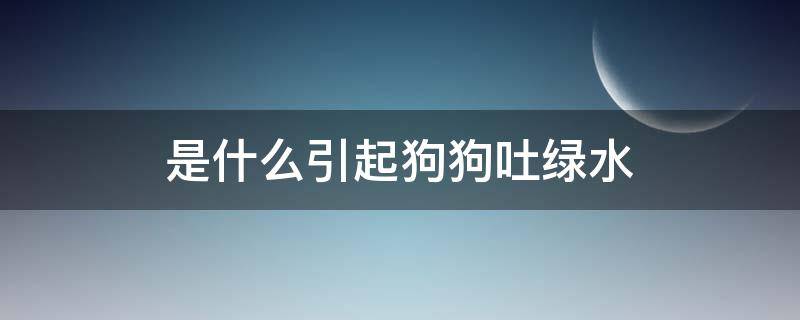 是什么引起狗狗吐绿水 狗狗吐黄绿水是什么原因