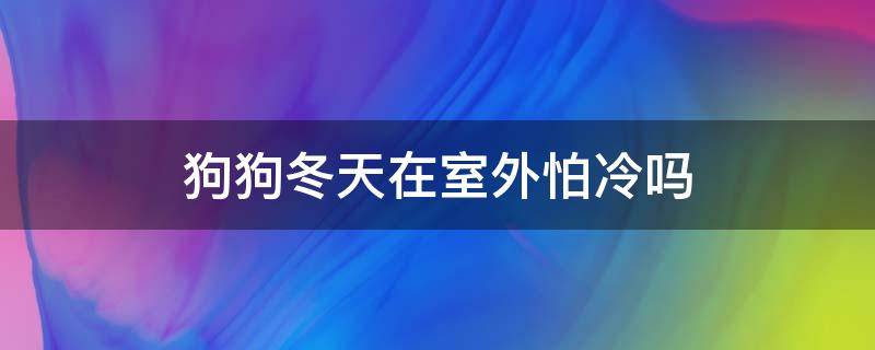 狗狗冬天在室外怕冷吗 狗冬天在外面怕不怕冷