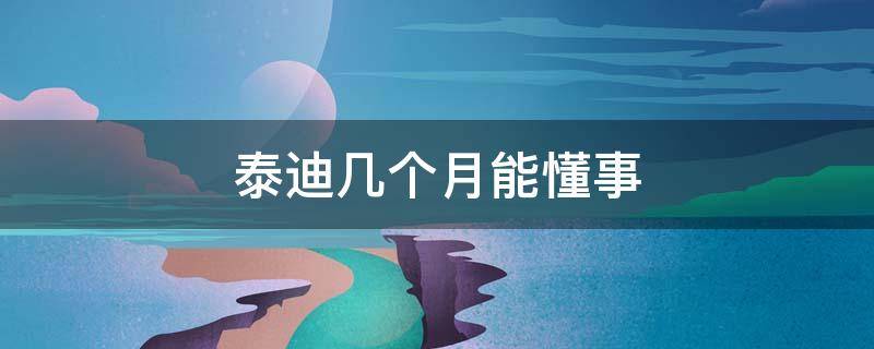 泰迪几个月能懂事（泰迪狗几个月才会完全懂事儿）