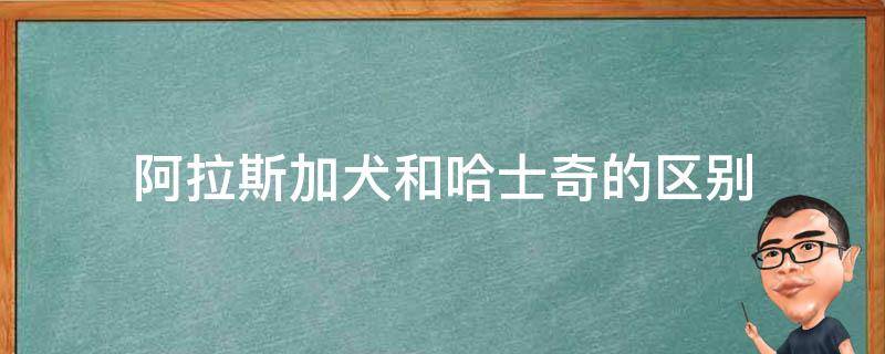 阿拉斯加犬和哈士奇的区别 阿拉斯加犬和哈士奇的区别图示