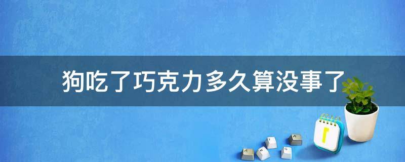 狗吃了巧克力多久算没事了 狗狗吃巧克力多久没事