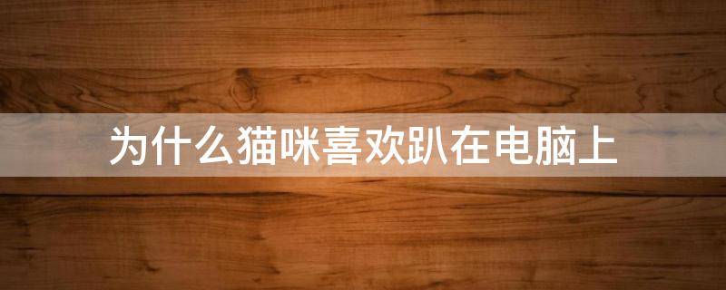 为什么猫咪喜欢趴在电脑上 为什么玩电脑的时候猫咪喜欢趴旁边