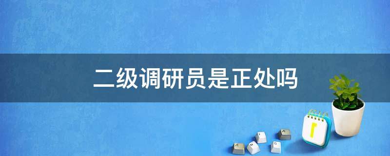 二级调研员是正处吗 一级调研员是正处吗