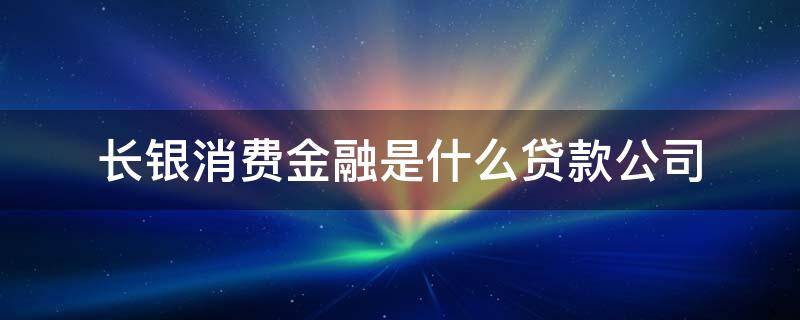 长银消费金融是什么贷款公司（长银消费金融是什么贷款公司不按时还款）