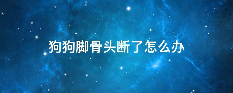 狗狗脚骨头断了怎么办 狗狗前脚骨头断了