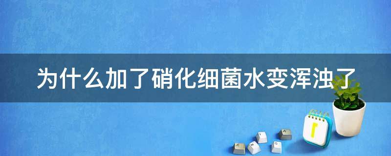 为什么加了硝化细菌水变浑浊了（为什么加了硝化细菌水反而混了）