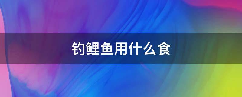 钓鲤鱼用什么食 钓鲤鱼用什么饵料最好